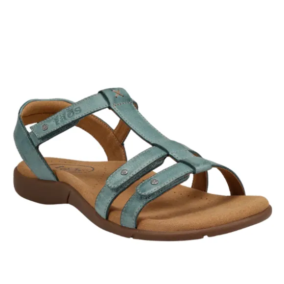 Taos Women's Trophy 2 Teal